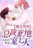 萌宝驾到：总裁爹地宠上天