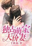 独占萌宝天价妻