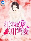 江少独宠甜蜜妻苏汐