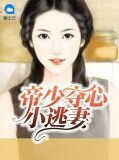 帝少夺心小逃妻温小染帝煜