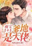 萌宝1+1，爹地是大佬