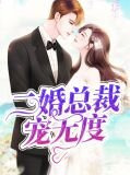 二婚总裁宠无度穆安然