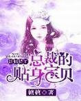 甜情特工：总裁的贴身宝贝