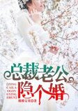总裁老公，隐个婚