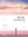 顾北城，我还是喜欢你2