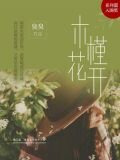 木槿花开