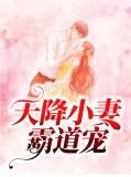 天降小妻霸道宠陆寒霆
