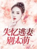 季尘封南沐薇
