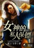 女神的私人保镖