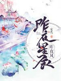 昨夜星辰昨夜风