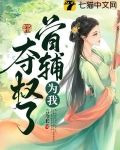 首辅为我夺权了