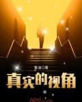 真实的视角