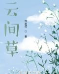 云间草