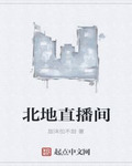北地直播间