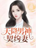天降男神契约妻唐慕橙